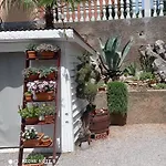 شقة Milotic